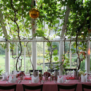 Exlusive Private Dinner @ Orangerie Oberneuland | © www.agave.network