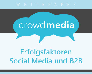 Whitepaper_B2B_SocialMedia_Svenja-Teichmann_crowdmedia_Preview